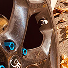 Wheel Faces - Kundenbild von Nick Greger